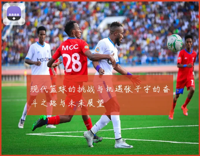 现代篮球的挑战与机遇张子宇的奋斗之路与未来展望