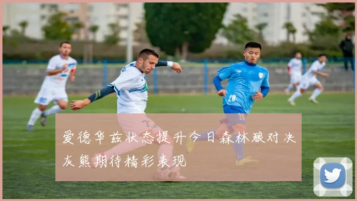 爱德华兹状态提升今日森林狼对决灰熊期待精彩表现